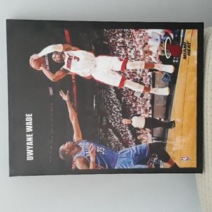 Miami Heat Dwyane Wade wall art